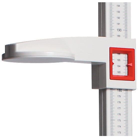 Light Gray SECA 213 Height Measure (Leicester)