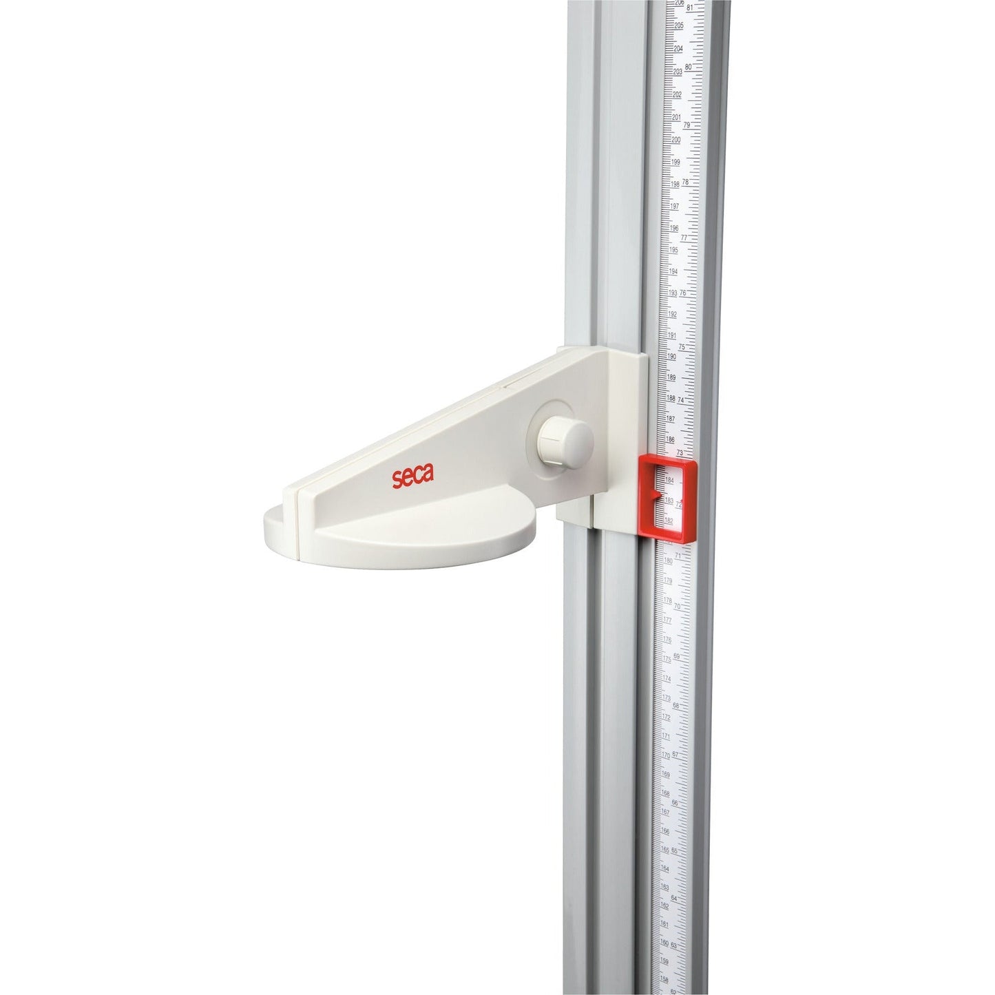 Light Gray seca 216 - Measuring Rod for Children and Adults