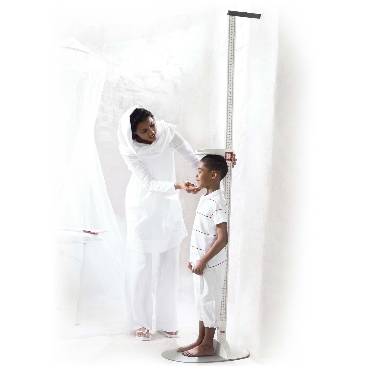 White Smoke seca 217 - Portable Stadiometer Combinable with Flat Scale