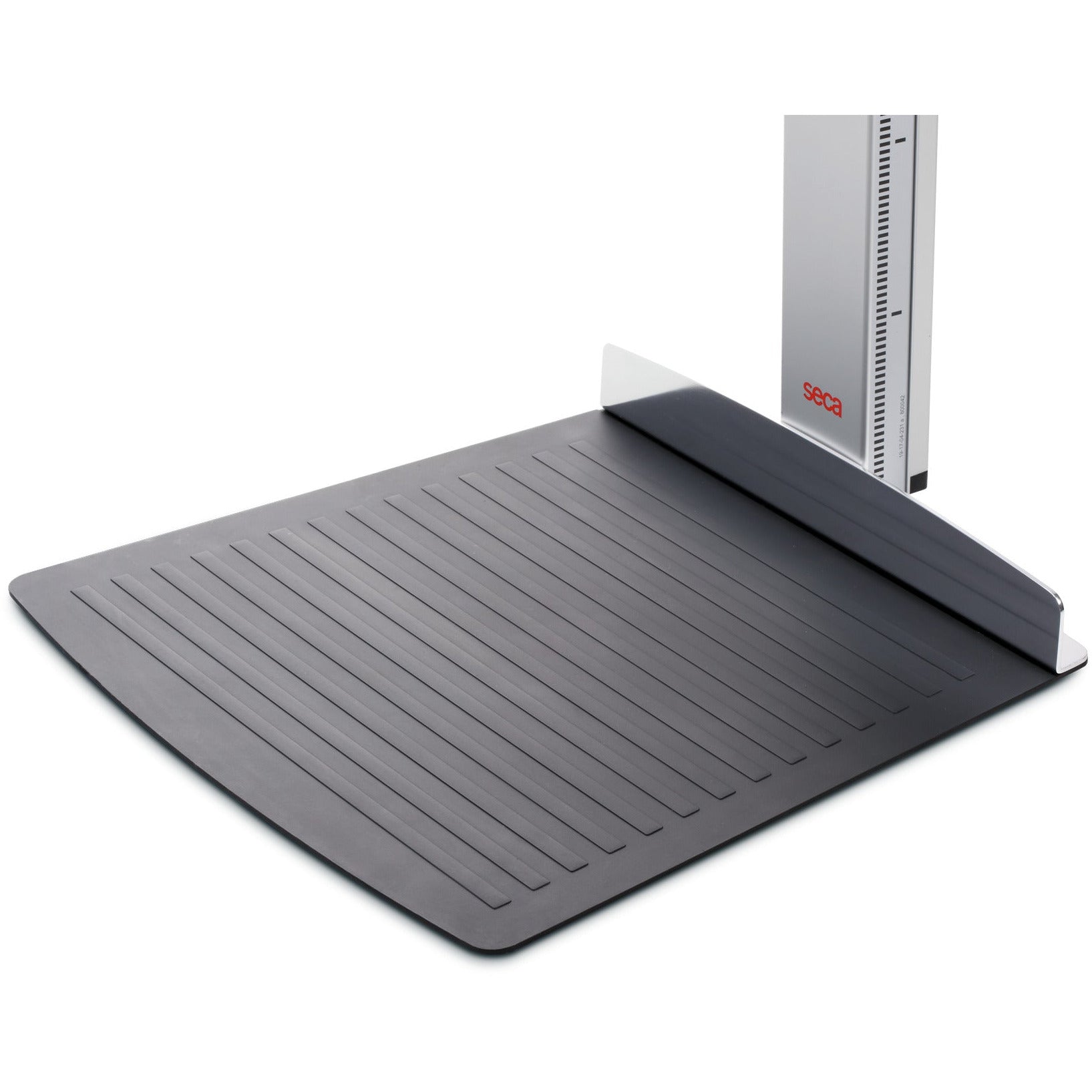 Slate Gray seca 264 - Wall-mounted Stadiometer with Display on the Headpiece