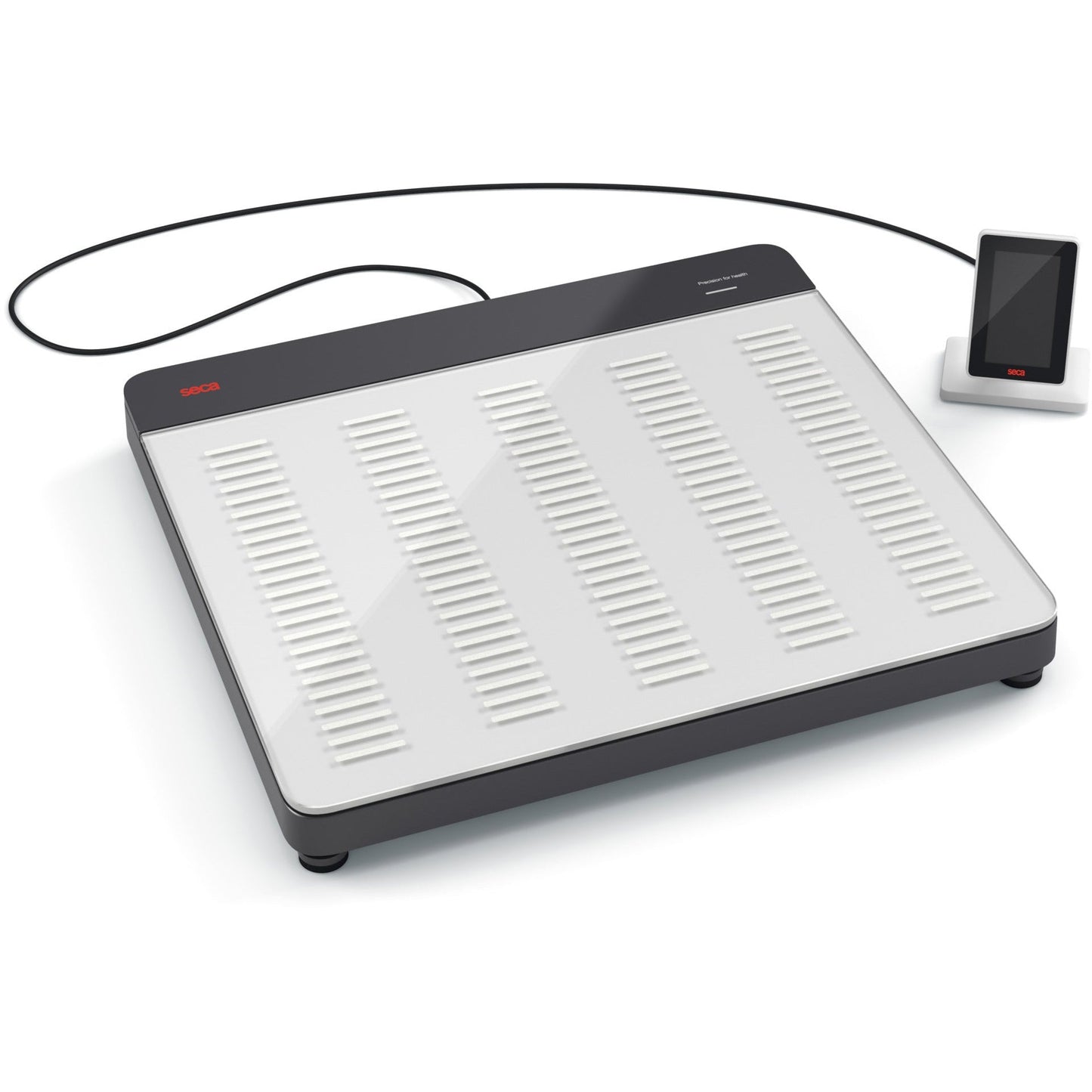 Light Gray seca 651 - Flat Scales with ID-Display and Stable Glass Platform