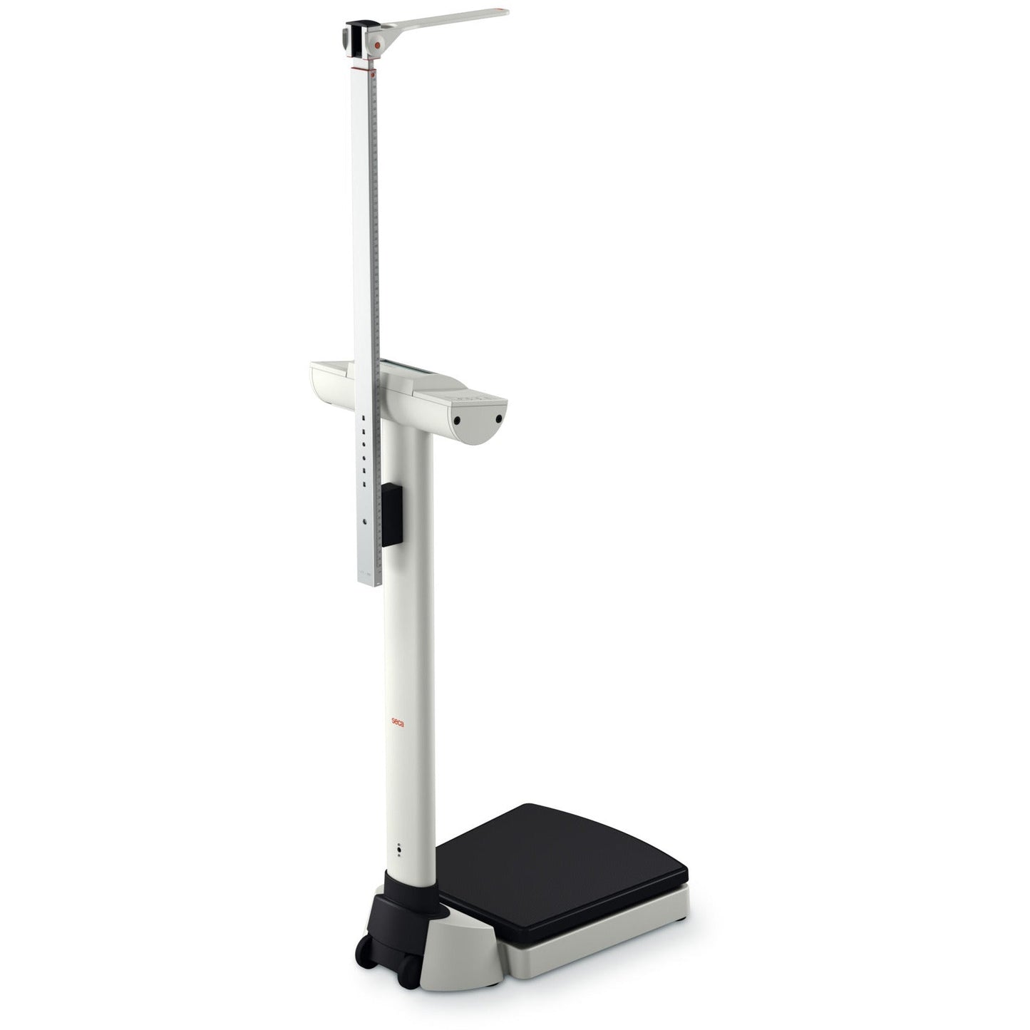 Light Gray seca 703 - EMR-Validated Column Scale with 300 kg Capacity