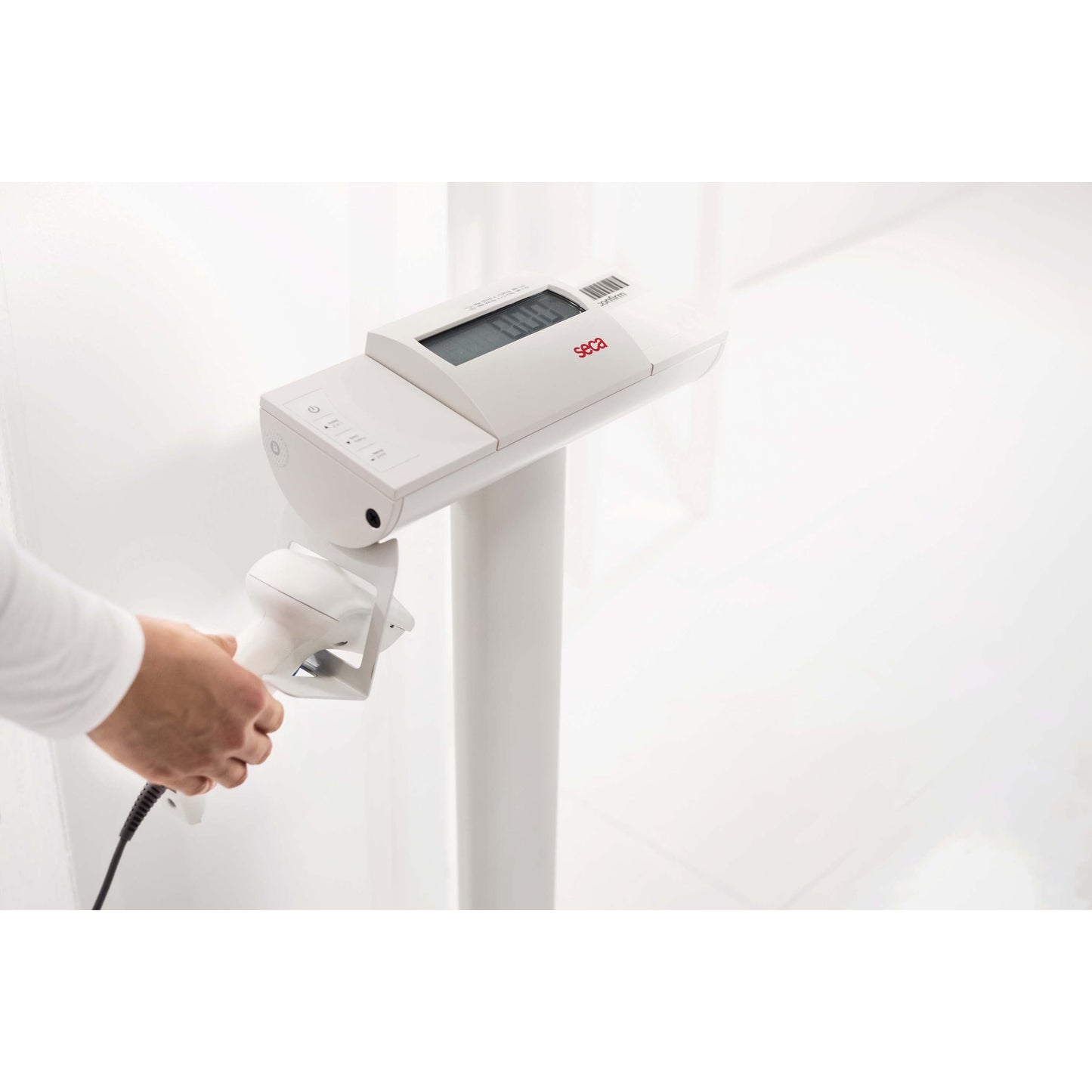 Beige seca 704 - EMR-validated column scale with 300 kg capacity