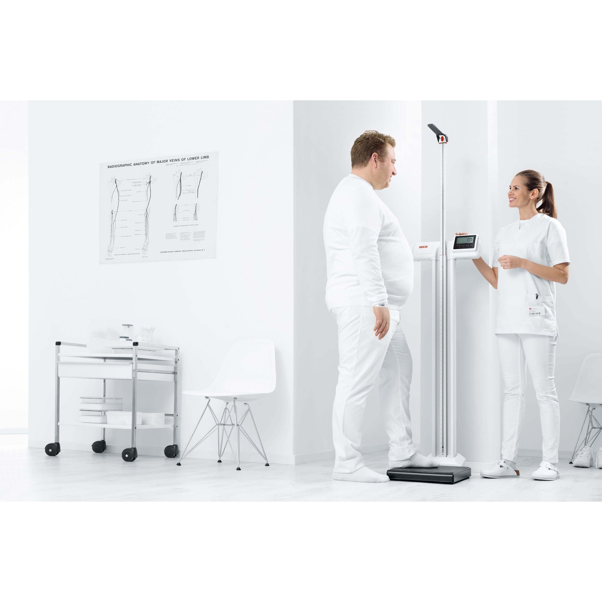 Lavender seca 777 - Digital Column Scale with Eye-Level Display