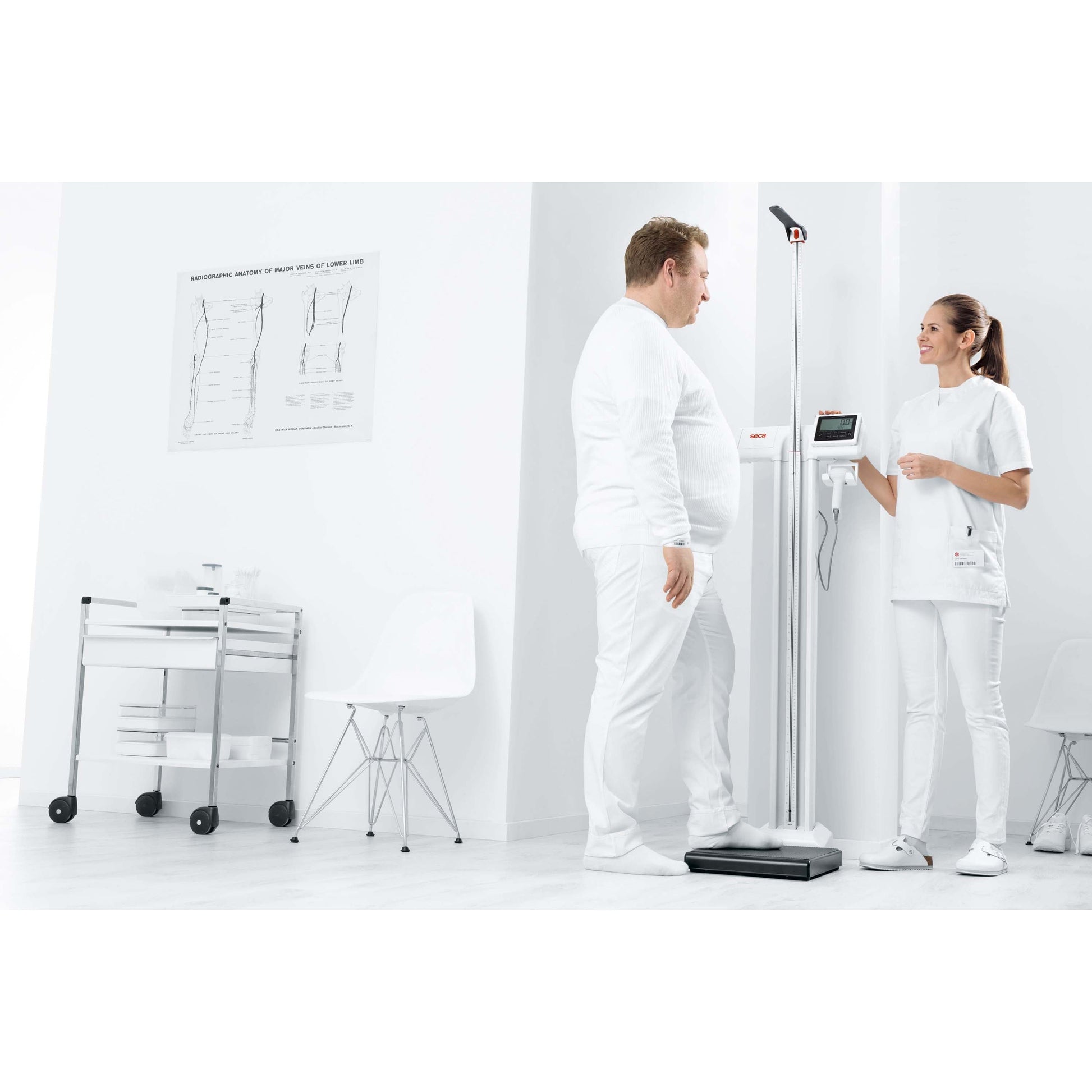 Lavender seca 787 - EMR-Validated Column Scale with Eye-Level Display