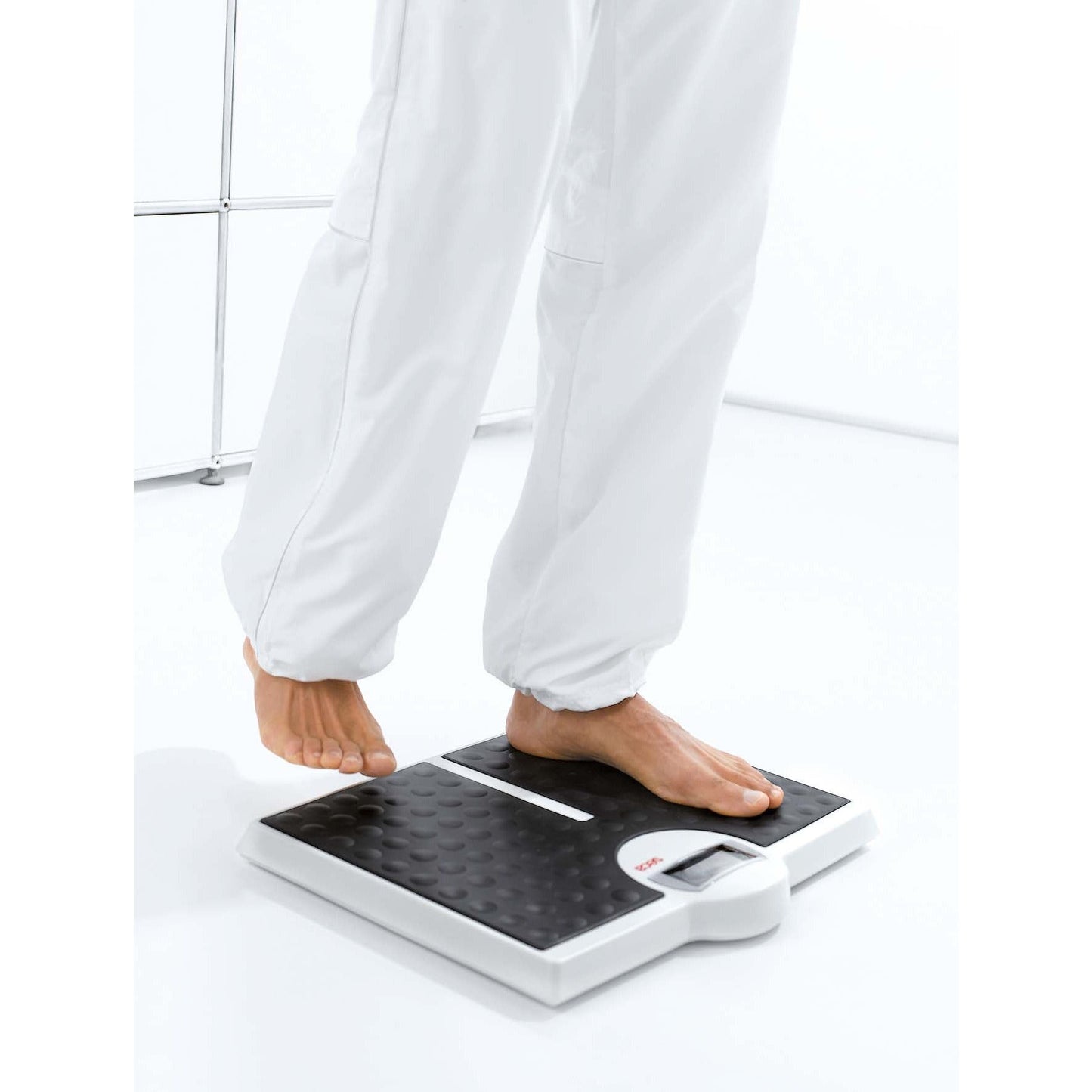 Lavender seca 813 - Flat Scale with High Capacity