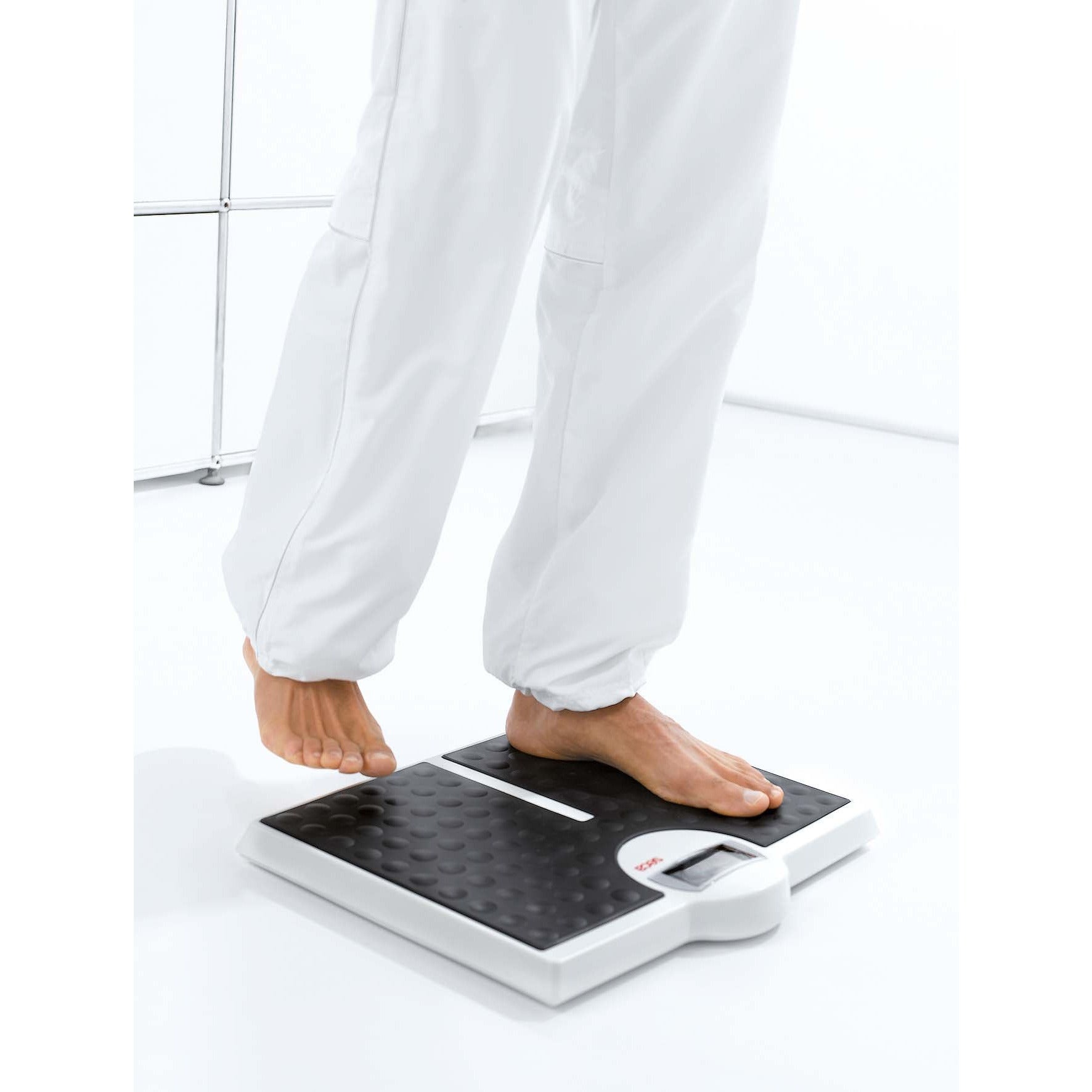 Lavender seca 813 - Flat Scale with High Capacity